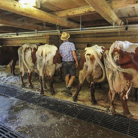 Ferienhof Pfefferbauer Saalbach-Hinterglemm Zewnętrze zdjęcie