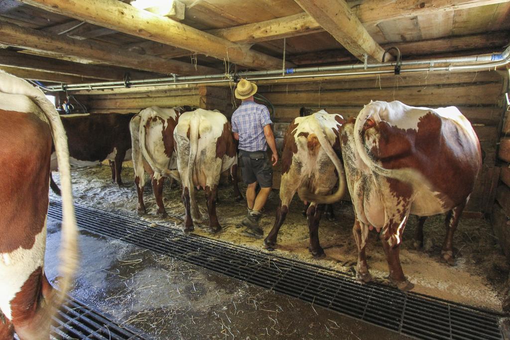 Ferienhof Pfefferbauer Saalbach-Hinterglemm Zewnętrze zdjęcie