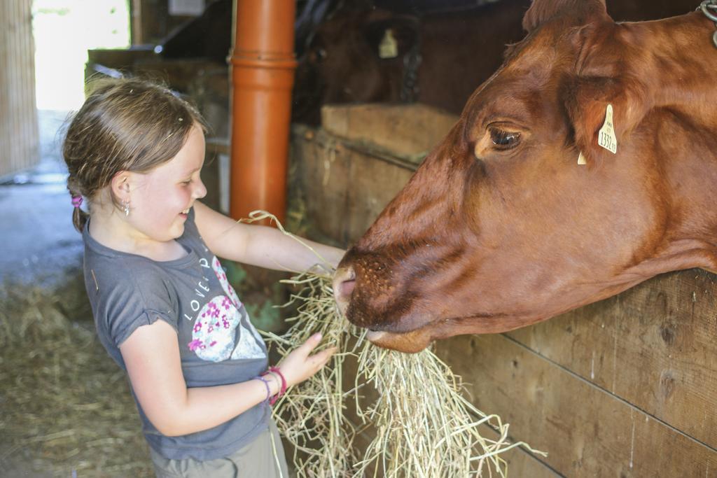 Ferienhof Pfefferbauer Saalbach-Hinterglemm Zewnętrze zdjęcie
