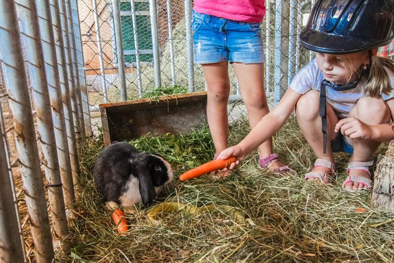 Ferienhof Pfefferbauer Saalbach-Hinterglemm Zewnętrze zdjęcie